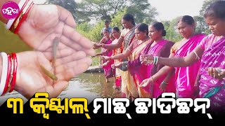 Fish Farming By SHG Women: ଡୁମେରବାହାଲର ମାଁ ମାନେ ଲାଖେ ୨୯ ହଜାର ଲୋନନେ କରିଛନ୍ ମାଛ ଚାଷ୍