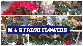 Mark's and spencer fresh flowers pot January Collection 2024