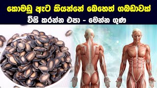 කොමඩු ඇට කියන්නේ බෙහෙත් ගබඩාවක් විසි කරන්න එපා - මෙන්න ගුණ | Health Benefits Of Watermelon Seeds