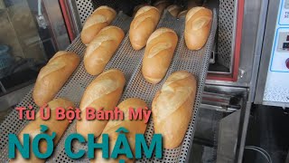 Bán tủ ủ bột nở chậm, tủ mát inox 4 cánh chuyên ủ bột | cách ủ bột bánh mì nở nhanh hay nở chậm