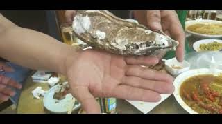 This oyster is as big as the palm of your hand