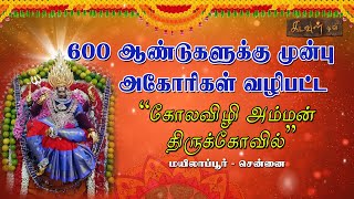 கருணை அருளும்  பத்ரகாளி |  Arulmigu Kolavili Amman Temple - Mylapore, Chennai | kadavultv