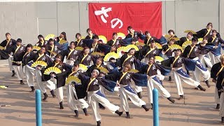 山口大学よさこいやっさん！！「夜曙け -よあけ- 」編集版　さのよいファイアーカーニバル2018 japanese festival yosakoi in arao