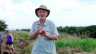 Understanding The Landscape: Cothelstone Hill Community Archaeology Dig Part 2, Quantock Hills AONB