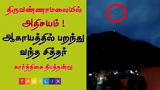 அதிசயம்! பறந்து வந்த சித்தர் | திருவண்ணாமலை | Tamilix.com