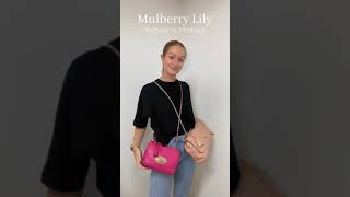 Mulberry Regular Lily vs Medium #shorts