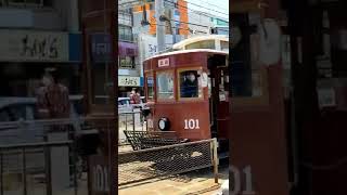 激レア電車の通過だっ❗（広電大正形電車101号)#路面電車 #shorts