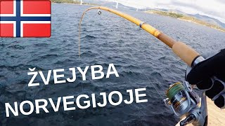 Žvejyba Norvegijoje. Saidos Kimba!  Fishing in Norway.