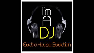 Dj bryan electro house selection