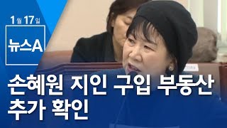 [뉴스분석] 손혜원 지인 구입 부동산 추가 확인 | 뉴스A