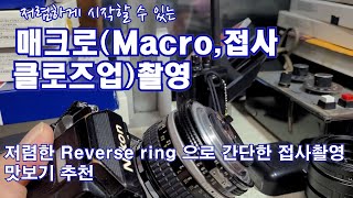 [겸tv]매크로macro촬영(접사촬영,클로즈업촬영)소개.  비교적 저렴한 비용으로 시작해보기.  표준렌즈로도 가능한 리버스링 이용