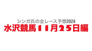 11月25日水沢競馬【全レース予想】2024ハヤテ特別