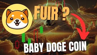 BABY DOGE COIN : un jeton MERDIQUE ... à fuir ?