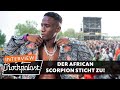 Wie Jizzle aus Konzerten wilde Afrobeat-Partys macht | Summerjam 2024 | Rockpalast