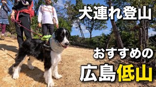 【牛田山】犬と一緒に山登り！おすすめの広島低山！