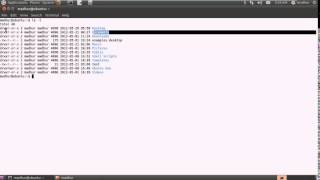 Shell Scripting Tutorial 9 See What's In Using 'ls' YouTube