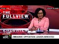 Zimbabwe opposition leader Tendai Biti arrested: Adv. Fadzayi Mahere