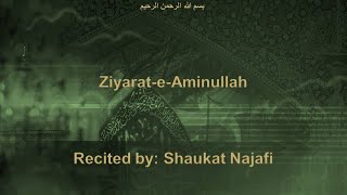 Shaukat Najafi   Ziyarat e Aminullah