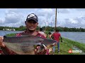 നല്ല കിടിലോസ്‌കി ആസാം വാള പിടുത്തം heavy aasam vaala fishing anglers_handbook