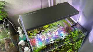 Aquarium supply haul! | Is it really worth it?