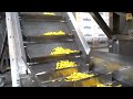 Nik Naks Chips Production Line -2022 - (Oven - Fryer )