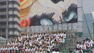 2003 福岡高校体育祭 黄応援合戦