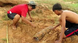 Primitive Technology Deep Hole Underground Python Snake Trap Using Wooden Snare That Work 100%