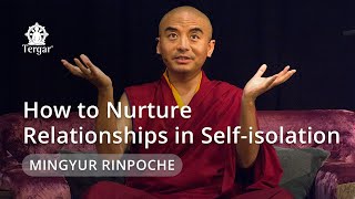 Coronavirus: How to Nurture Relationships in Self-isolation - Live Teaching with Mingyur Rinpoche