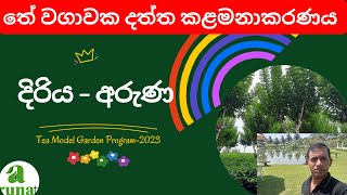 තේ ඉඩමක දත්ත කළමනාකරණය සහ වාර්තා තබාගැනීම |Introduction Lecture|Diriya Aruna| Tharaka Jayasinghe