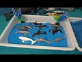 safari ltd. whales u0026 dolphins u0026 coral reef toobs small world diorama learn ocean animal names