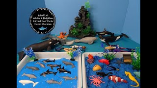 Safari Ltd. Whales \u0026 Dolphins \u0026 Coral Reef Toobs- Small World Diorama Learn Ocean Animal Names