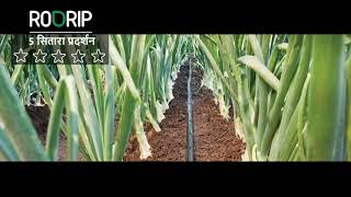 Rivulis RO Drip Hindi, Best Drip Tape for Close spacing vegetable \u0026 horticultural crops