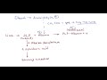 mechanisms why in alcoholic hepatitis ast is higher that alt increased de ritis ratio