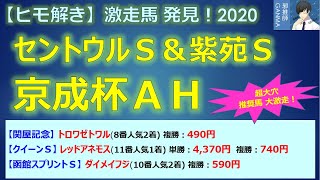 ＜京成杯オータムハンデ＆セントウルステークス＆紫苑ステークス＞【ヒモ解き】激走馬 発見！2020