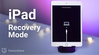 How to Fix iPad Stuck in Recovery Mode without Data Loss 2023