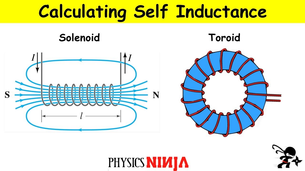 Toroidal Physics