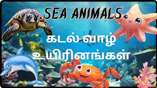 கடல்வாழ் உயிரினங்கள்//water animals/ Sea Animals Tam Eng/ facts sea animals #schoolprojectwork