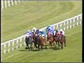 1997 ascot insulpak sagaro stakes orchestra stall