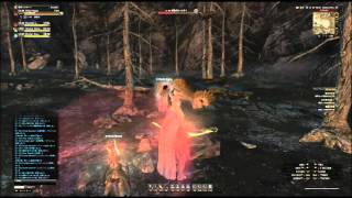 [DDON] ハンター Lv40 火力検証 バフ