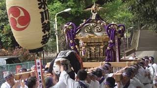 平成31年　『天皇陛下御在位三十年奉祝記念渡御』＜渋谷氷川神社＞伝説の宮神輿＝宮出