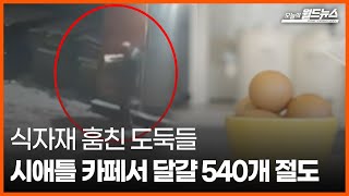 [오늘의 세계] 식자재 훔친 도둑들 시애틀 카페서 달걀 540개 절도