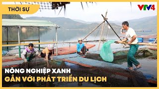 Nông nghiệp xanh gắn với phát triển du lịch | VTV4