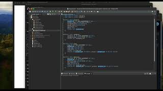 Week 08 - Coding Assignment - Video