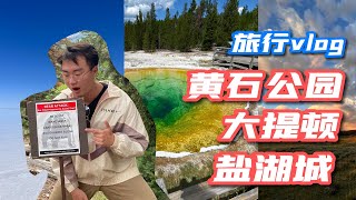 【旅行Vlog】黄石公园动物大探秘！偶遇野牛和黑熊！盐湖城中国城有什么？天空之镜好疼！