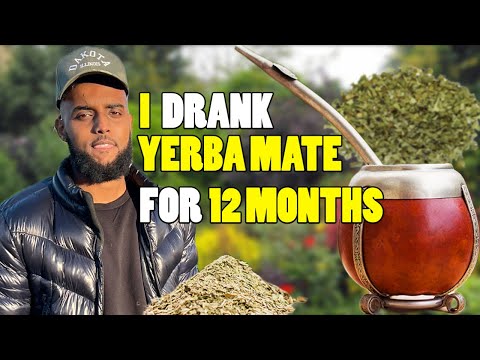 Is it safe to drink yerba mate everyday?