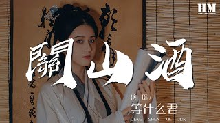 等什麼君 - 關山酒『我自關山點酒 千秋皆入喉』【動態歌詞Lyrics】