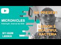 Micronicles - Lesson 2: Beautiful Bacteria