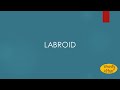 Labroid Meaning