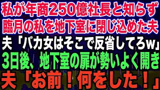 【スカッとする話】私が年商250億社長と知らず臨月の私を地下室に閉じ込めた夫夫「バカ女はそこで反省してろw」3日後、地下室の扉が勢いよく開き夫「お前！何をした！