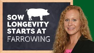 Why Sows Struggle After Farrowing - Dr. Jamie Studer
